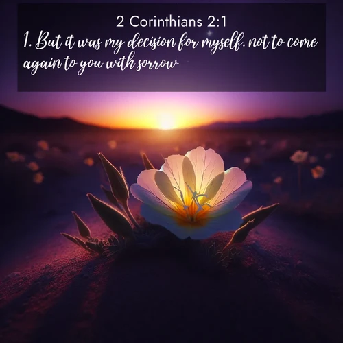 BBE 47 2:1