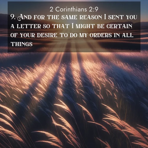 BBE 2 Corinthians 2:9 overlaying nature image scene: Summer breeze ripples through fields of prairie grass.;9. And for the same reason I sent you a letter so that I might be certain of your desire to do my orders in all things.