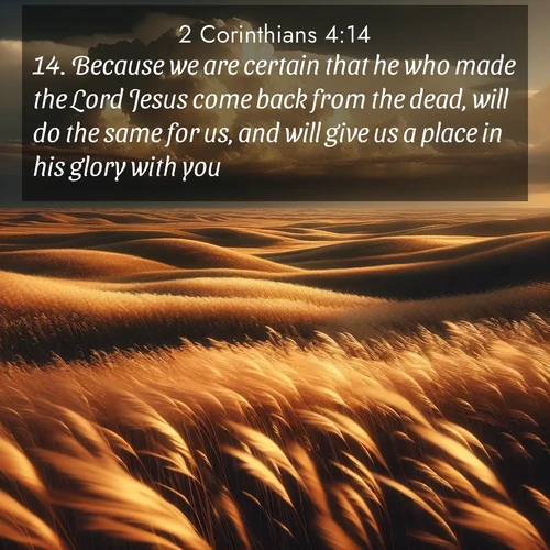BasicEnglish 2 Corinthians  ; image nature: image with the bible verse :Because we are certain that he who made the Lord Jesus come back from the dead, will do the same for us, and will give us a place in his glory with you. ; Explore Bible verse images beautifully illustrated with spring scenes, such as blooming meadows, trees in full bloom, and tranquil streams. These landscapes convey divine hope and vitality. Download and share verses like KJV 2 Corinthians 4:14. Current verse is overlayed with the thematic nature scene : Prairie grass waves like a golden ocean. Storm clouds build towers on the horizon. ; 4:14