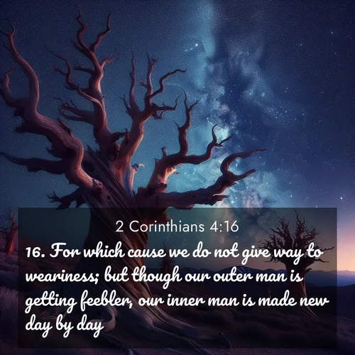BasicEnglish 2 Corinthians  ; image nature: image with the bible verse :For which cause we do not give way to weariness; but though our outer man is getting feebler, our inner man is made new day by day. ; Download high-resolution Bible verse images showcasing the beauty of God&#039;s creation—from radiant sunsets to tranquil rivers. Free for use as wallpapers or sharing verses like KJV 2 Corinthians 4:16. Current verse is overlayed with the thematic nature scene : Ancient bristlecone pines twist toward stars. Time stands still in their presence. ; 4:16