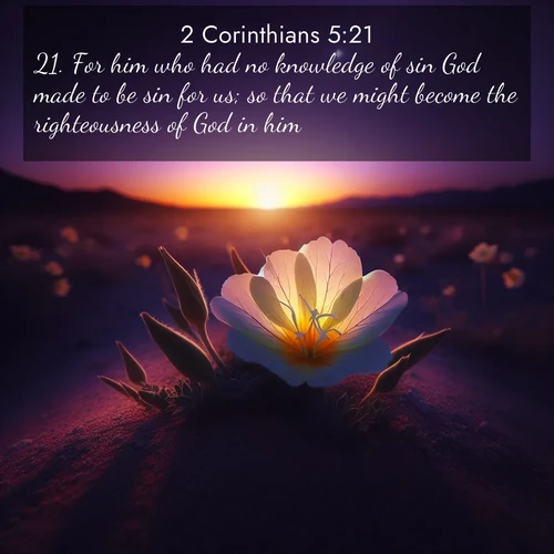 BasicEnglish 2 Corinthians  ; image nature: image with the bible verse :For him who had no knowledge of sin God made to be sin for us; so that we might become the righteousness of God in him. ; Browse a large collection of Bible verse images with photos showcasing the splendor of nature. Scenes of peaceful rivers, verdant valleys, and radiant skies enhance the inspiring verses. Each image reflects the serenity and joy of God&#039;s creation, with elegant text fonts. Download and share verses such as KJV 2 Corinthians 5:21. Current verse is overlayed with the thematic nature scene : Desert evening primrose opens to the setting sun. Stars emerge in the deepening purple sky. ; 5:21
