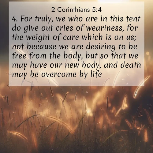 BasicEnglish 2 Corinthians  ; image nature: image with the bible verse :For truly, we who are in this tent do give out cries of weariness, for the weight of care which is on us; not because we are desiring to be free from the body, but so that we may have our new body, and death may be overcome by life. ; Discover beautiful Bible verse images enriched with natural landscapes, from serene beaches to cascading waterfalls. All images are free and ready to download. Share verses such as KJV 2 Corinthians 5:4. Current verse is overlayed with the thematic nature scene : Summer heat brings out cricket songs in meadow grass. ; 5:4