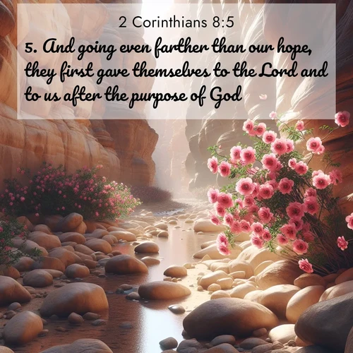 BasicEnglish 2 Corinthians  ; image nature: image with the bible verse :And going even farther than our hope, they first gave themselves to the Lord and to us after the purpose of God. ; Access a vast collection of Bible verse images illustrated with natural landscapes like calm rivers, blooming fields, and bright horizons. These images emphasize the serenity and splendor of God&#039;s creation, accompanied by aesthetic fonts and joyful colors. Download verses like KJV 2 Corinthians 8:5 and share them. Current verse is overlayed with the thematic nature scene : Desert roses bloom in a hidden canyon after rare rainfall. Their pink petals contrast against weathered sandstone walls. ; 8:5