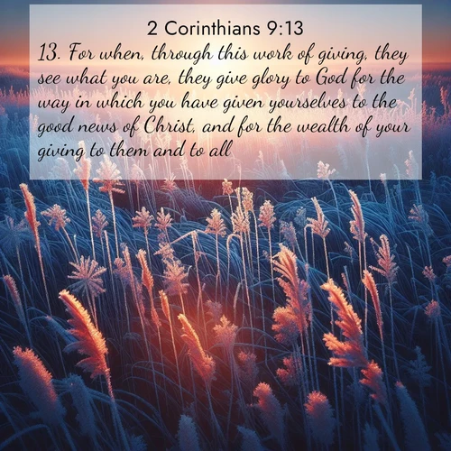 BBE 2 Corinthians 9:13 overlaying nature image scene: Winter sunrise illuminates frost-covered prairie grass.;13. For when, through this work of giving, they see what you are, they give glory to God for the way in which you have given yourselves to the good news of Christ, and for the wealth of your giving to them and to all;