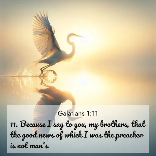 BasicEnglish Galatians  ; image nature: image with the bible verse :Because I say to you, my brothers, that the good news of which I was the preacher is not man&#039;s. ; Explore a spring collection of Bible images, with landscapes of green hills, wildflowers, and crystal-clear streams. These images symbolize the blossoming of God&#039;s creation. Download verses like KJV Galatians 1:11. Current verse is overlayed with the thematic nature scene : A great egret lifts from mirror-still water. Sunrise sets its wings ablaze. ; 1:11