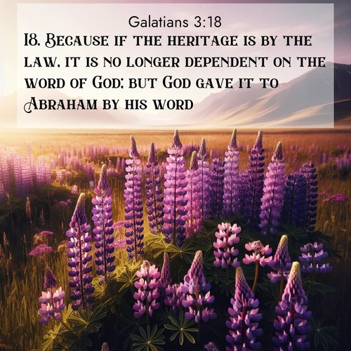 BasicEnglish Galatians  ; image nature: image with the bible verse :Because if the heritage is by the law, it is no longer dependent on the word of God; but God gave it to Abraham by his word. ; Admire our gallery of Bible verse images showcasing divine beauty in nature—whether snowy peaks or serene oceans. Each image is freely downloadable and perfect for personal or spiritual use. Share verses like KJV Galatians 3:18. Current verse is overlayed with the thematic nature scene : Wild lupines paint purple meadows. Snow lingers on distant peaks. ; 3:18