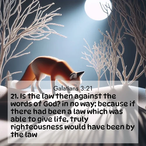 BasicEnglish Galatians  ; image nature: image with the bible verse :Is the law then against the words of God? in no way; because if there had been a law which was able to give life, truly righteousness would have been by the law. ; Browse our collection of Bible verses paired with captivating photos of God’s creation, like crystal-clear lakes, majestic cliffs, and colorful skies. All images are free for download and sharing. Verse examples include KJV Galatians 3:21. Current verse is overlayed with the thematic nature scene : A red fox hunts through pristine snow. Moon shadows dance between bare trees. ; 3:21
