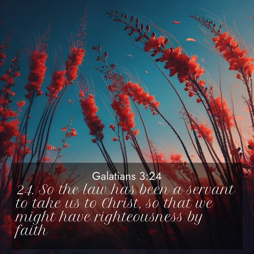 BasicEnglish Galatians  ; image nature: image with the bible verse :So the law has been a servant to take us to Christ, so that we might have righteousness by faith. ; Admire Bible verse images featuring tranquil rivers, golden fields, and starry heavens. These free-to-download images make inspiring wallpapers or thoughtful gifts. Download KJV Galatians 3:24 now. Current verse is overlayed with the thematic nature scene : Desert ocotillo flames against blue sky. Wind sings through its scarlet blooms. ; 3:24