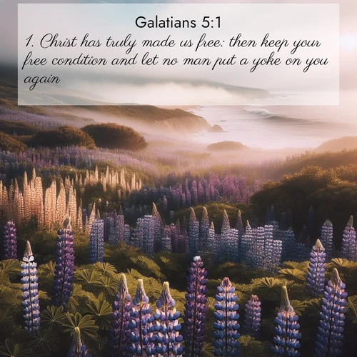 BBE Galatians 5:1 overlaying nature image scene: Wild lupines carpet a coastal meadow. Ocean fog rolls in on silent feet.;1. Christ has truly made us free: then keep your free condition and let no man put a yoke on you again.
