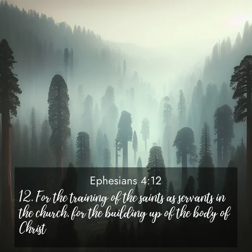 BBE Ephesians 4:12 overlaying nature image scene: Ancient sequoias pierce through valley fog. Centuries of growth reach for filtered light.;12. For the training of the saints as servants in the church, for the building up of the body of Christ: