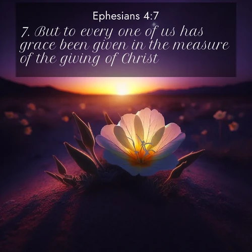 BBE Ephesians 4:7 overlaying nature image scene: Desert evening primrose opens to the setting sun. Stars emerge in the deepening purple sky.;7. But to every one of us has grace been given in the measure of the giving of Christ.
