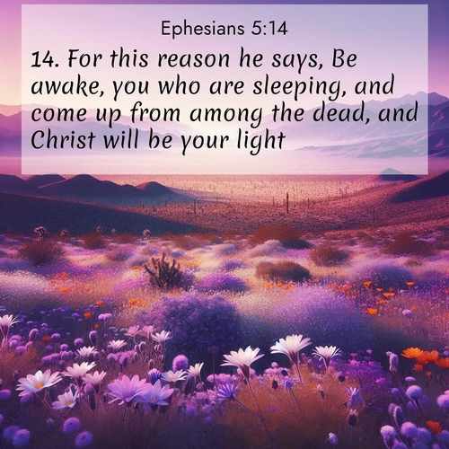 BBE Ephesians 5:14 overlaying nature image scene: Desert wildflowers carpet Death Valley after winter rains. Mountains fade to purple on the horizon.;14. For this reason he says, Be awake, you who are sleeping, and come up from among the dead, and Christ will be your light.