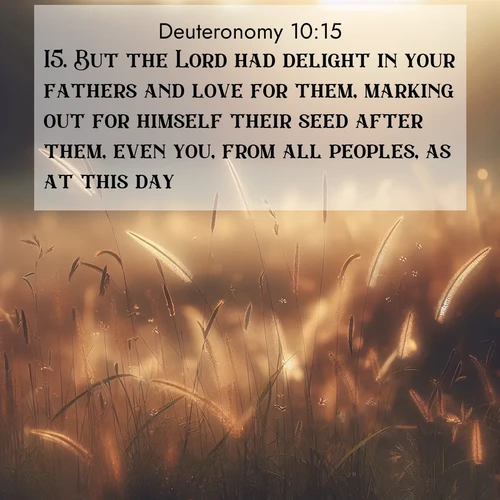 BBE Deuteronomy 10:15 overlaying nature image scene: Summer heat brings out cricket songs in meadow grass.;15. But the Lord had delight in your fathers and love for them, marking out for himself their seed after them, even you, from all peoples, as at this day.
