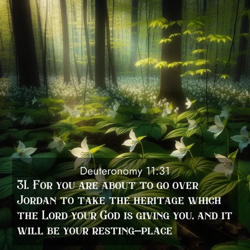 BBE Deuteronomy 11:31 overlaying nature image scene: Wild trillium carpets the forest floor. Sunlight filters green through new spring leaves.;31. For you are about to go over Jordan to take the heritage which the Lord your God is giving you, and it will be your resting-place.