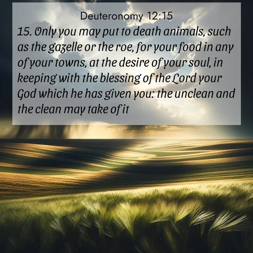 BBE Deuteronomy 12:15 overlaying nature image scene: Summer storms approach across vast prairie skies.;15. Only you may put to death animals, such as the gazelle or the roe, for your food in any of your towns, at the desire of your soul, in keeping with the blessing of the Lord your God which he has given you: the unclean and the clean may take of it.