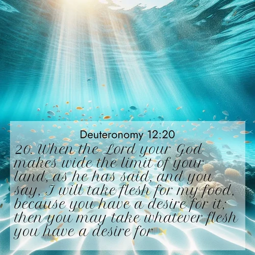BBE Deuteronomy 12:20 overlaying nature image scene: Reef fish swirl in perfect formation through crystal waters. Sunlight creates shifting patterns on white sand below.;20. When the Lord your God makes wide the limit of your land, as he has said, and you say, I will take flesh for my food, because you have a desire for it; then you may take whatever flesh you have a desire for.