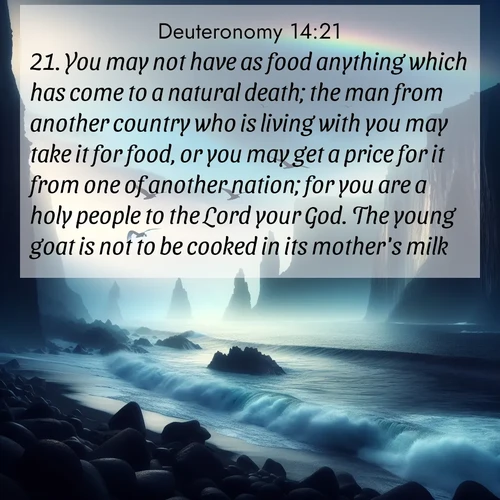 BBE Deuteronomy 14:21 overlaying nature image scene: Ocean waves crash against volcanic cliffs as seabirds wheel overhead, creating momentary rainbows.;21. You may not have as food anything which has come to a natural death; the man from another country who is living with you may take it for food, or you may get a price for it from one of another nation; for you are a holy people to the Lord your God. The young goat is not to be cooked in its mother's milk.