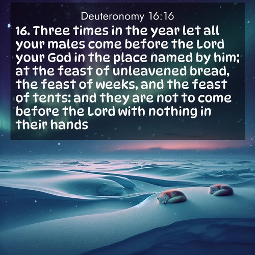BBE Deuteronomy 16:16 overlaying nature image scene: Northern lights dance across the frozen tundra in ribbons of green and purple. Snow falls silently on sleeping arctic foxes.;16. Three times in the year let all your males come before the Lord your God in the place named by him; at the feast of unleavened bread, the feast of weeks, and the feast of tents: and they are not to come before the Lord with nothing in their hands;
