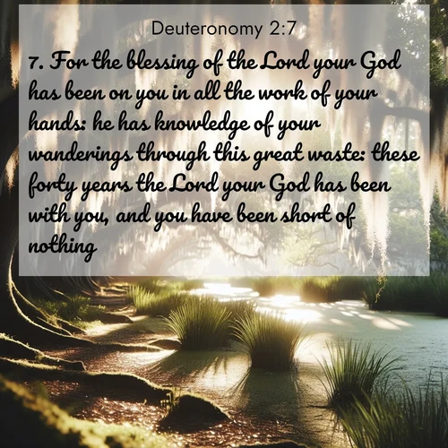 BasicEnglish Deuteronomy  ; image nature: image with the bible verse :For the blessing of the Lord your God has been on you in all the work of your hands: he has knowledge of your wanderings through this great waste: these forty years the Lord your God has been with you, and you have been short of nothing. ; Explore a rich collection of Bible verse images beautifully illustrated by natural landscapes, such as colorful skies, towering mountains, and tranquil rivers. The images highlight the serenity of God&#039;s creation with vivid tones and carefully chosen typography. Download and share inspiring verses like KJV Deuteronomy 2:7. Current verse is overlayed with the thematic nature scene : Summer afternoon light filters through Spanish moss in a bayou. ; 2:7