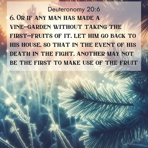 BasicEnglish Deuteronomy  ; image nature: image with the bible verse :Or if any man has made a vine-garden without taking the first-fruits of it, let him go back to his house, so that in the event of his death in the fight, another may not be the first to make use of the fruit. ; Browse our collection of Bible verses paired with captivating photos of God’s creation, like crystal-clear lakes, majestic cliffs, and colorful skies. All images are free for download and sharing. Verse examples include KJV Deuteronomy 20:6. Current verse is overlayed with the thematic nature scene : Morning frost rimes every needle. Weak sun struggles through branches. ; 20:6