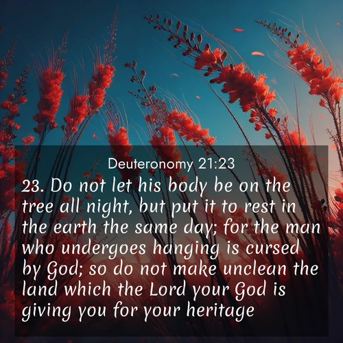 BasicEnglish Deuteronomy  ; image nature: image with the bible verse :Do not let his body be on the tree all night, but put it to rest in the earth the same day; for the man who undergoes hanging is cursed by God; so do not make unclean the land which the Lord your God is giving you for your heritage. ; Admire our gallery of Bible verse images paired with serene nature photography, featuring starlit skies, golden sands, and blooming wildflowers. Download and share verses like KJV Deuteronomy 21:23. Current verse is overlayed with the thematic nature scene : Desert ocotillo flames against blue sky. Wind sings through its scarlet blooms. ; 21:23