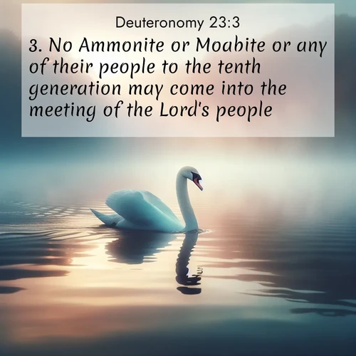 BasicEnglish Deuteronomy  ; image nature: image with the bible verse :No Ammonite or Moabite or any of their people to the tenth generation may come into the meeting of the Lord&#039;s people: ; Explore Bible verse images beautifully illustrated with spring scenes, such as blooming meadows, trees in full bloom, and tranquil streams. These landscapes convey divine hope and vitality. Download and share verses like KJV Deuteronomy 23:3. Current verse is overlayed with the thematic nature scene : A single swan glides across a misty lake. Dawn paints the water in pastels. ; 23:3