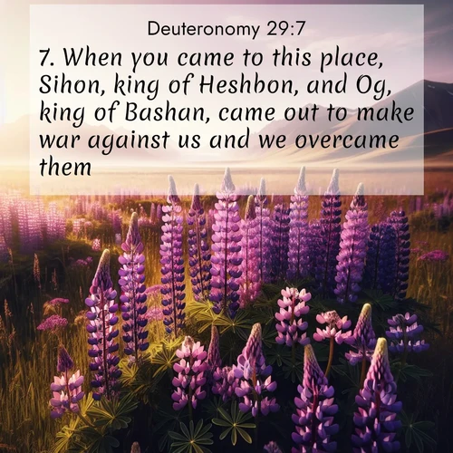 BBE Deuteronomy 29:7 overlaying nature image scene: Wild lupines paint purple meadows. Snow lingers on distant peaks.;7. When you came to this place, Sihon, king of Heshbon, and Og, king of Bashan, came out to make war against us and we overcame them: