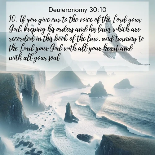BBE Deuteronomy 30:10 overlaying nature image scene: A peregrine falcon rides thermal currents above coastal cliffs. Waves crash endlessly against the rocks below.;10. If you give ear to the voice of the Lord your God, keeping his orders and his laws which are recorded in this book of the law, and turning to the Lord your God with all your heart and with all your soul.