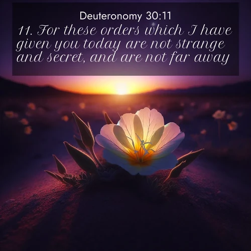 BBE Deuteronomy 30:11 overlaying nature image scene: Desert evening primrose opens to the setting sun. Stars emerge in the deepening purple sky.;11. For these orders which I have given you today are not strange and secret, and are not far away.