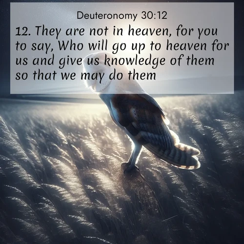 BBE Deuteronomy 30:12 overlaying nature image scene: A barn owl quarters silent fields. Moonlight turns meadow grass to silver.;12. They are not in heaven, for you to say, Who will go up to heaven for us and give us knowledge of them so that we may do them?
