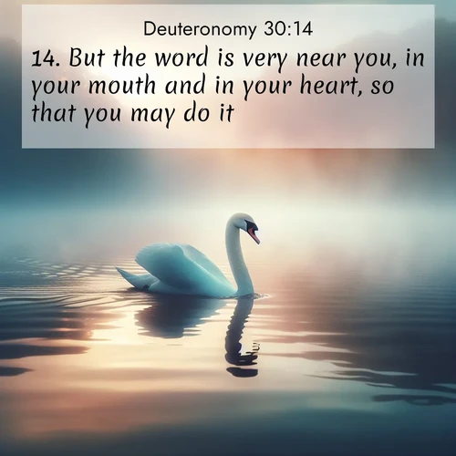BBE Deuteronomy 30:14 overlaying nature image scene: A single swan glides across a misty lake. Dawn paints the water in pastels.;14. But the word is very near you, in your mouth and in your heart, so that you may do it.