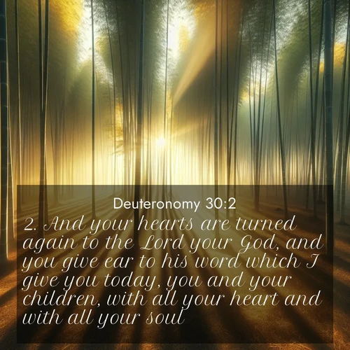 BBE 5 30:2