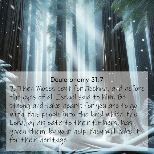 BasicEnglish Deuteronomy  ; image nature: image with the bible verse :Then Moses sent for Joshua, and before the eyes of all Israel said to him, Be strong and take heart: for you are to go with this people into the land which the Lord, by his oath to their fathers, has given them; by your help they will take it for their heritage. ; Discover Bible images illustrated by desert landscapes, like sand dunes, majestic rocks, and starry skies. These images symbolize the grandeur and immensity of God&#039;s creation. Download verses like KJV Deuteronomy 31:7. Current verse is overlayed with the thematic nature scene : Snow falls silently on ancient redwoods. Shafts of light pierce through to illuminate the forest floor. ; 31:7