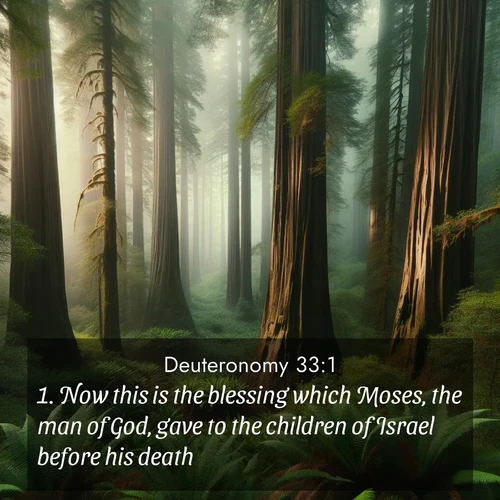 BasicEnglish Deuteronomy  ; image nature: image with the bible verse :Now this is the blessing which Moses, the man of God, gave to the children of Israel before his death. ; Browse Bible images illustrated by desert landscapes, with endless skies, golden dunes, and isolated palm trees. These images evoke the calm and grandeur of God&#039;s creation. Download inspiring verses like KJV Deuteronomy 33:1. Current verse is overlayed with the thematic nature scene : Coastal redwoods disappear into the fog high above a fern grove. ; 33:1