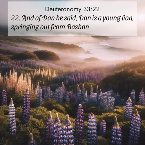 BasicEnglish Deuteronomy  ; image nature: image with the bible verse :And of Dan he said, Dan is a young lion, springing out from Bashan. ; Discover Bible images capturing the essence of autumn, with wooded paths, golden fields, and swirling leaves. These scenes reflect the changing beauty of God&#039;s creation. Download verses like KJV Deuteronomy 33:22. Current verse is overlayed with the thematic nature scene : Wild lupines carpet a coastal meadow. Ocean fog rolls in on silent feet. ; 33:22