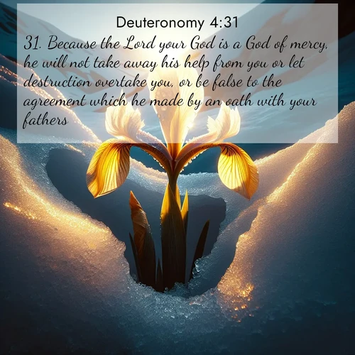 BasicEnglish Deuteronomy  ; image nature: image with the bible verse :Because the Lord your God is a God of mercy, he will not take away his help from you or let destruction overtake you, or be false to the agreement which he made by an oath with your fathers. ; Explore serene Bible verse images adorned with photos of divine creation—tranquil beaches, snowy mountains, and starry skies. Each image is free to download and share. Verses include KJV Deuteronomy 4:31. Current verse is overlayed with the thematic nature scene : Wild iris breaks through melting snow. Alpine light ignites its petals. ; 4:31