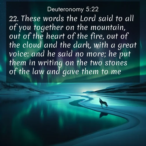 BBE Deuteronomy 5:22 overlaying nature image scene: Northern lights dance across a frozen lake in ribbons of green and purple. A lone wolf howls from the distant shore.;22. These words the Lord said to all of you together on the mountain, out of the heart of the fire, out of the cloud and the dark, with a great voice: and he said no more; he put them in writing on the two stones of the law and gave them to me.