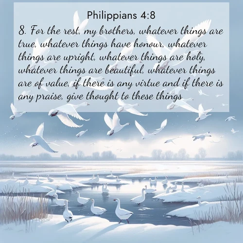 BBE Philippians 4:8 overlaying nature image scene: Snow geese take flight from a winter marsh. Their wings flash white against leaden skies.;8. For the rest, my brothers, whatever things are true, whatever things have honour, whatever things are upright, whatever things are holy, whatever things are beautiful, whatever things are of value, if there is any virtue and if there is any praise, give thought to these things.