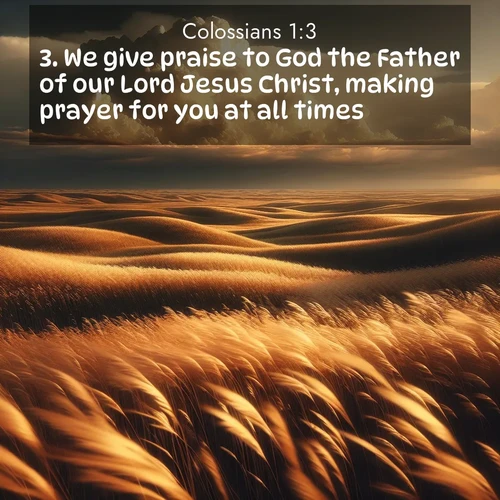 BBE 51 1:3
