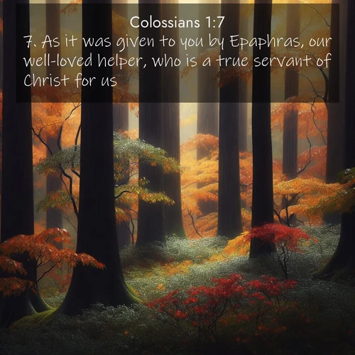 BBE Colossians 1:7 overlaying nature image scene: Autumn rain darkens tree trunks in the forest.;7. As it was given to you by Epaphras, our well-loved helper, who is a true servant of Christ for us,