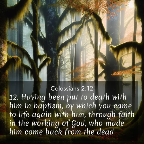 BBE Colossians 2:12 overlaying nature image scene: Autumn fog shrouds an old-growth forest draped in moss and lichen.;12. Having been put to death with him in baptism, by which you came to life again with him, through faith in the working of God, who made him come back from the dead.
