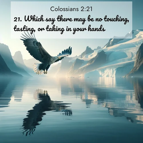 BBE Colossians 2:21 overlaying nature image scene: A sea eagle soars above fjord waters. Glaciers loom blue in Arctic light.;21. Which say there may be no touching, tasting, or taking in your hands,
