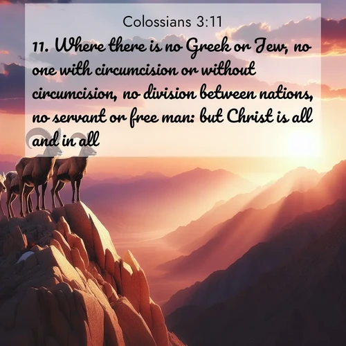 BBE Colossians 3:11 overlaying nature image scene: Desert bighorns pause on a knife-edge ridge. Sunset paints their horns in gold.;11. Where there is no Greek or Jew, no one with circumcision or without circumcision, no division between nations, no servant or free man: but Christ is all and in all.