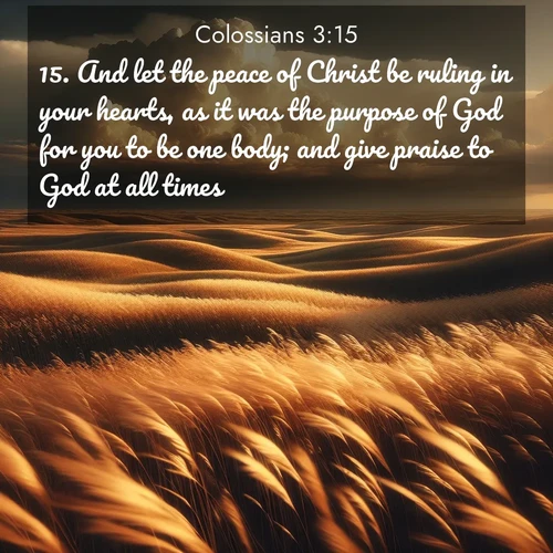BBE Colossians 3:15 overlaying nature image scene: Prairie grass waves like a golden ocean. Storm clouds build towers on the horizon.;15. And let the peace of Christ be ruling in your hearts, as it was the purpose of God for you to be one body; and give praise to God at all times.