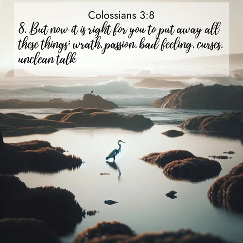 BBE Colossians 3:8 overlaying nature image scene: A great blue heron fishes in tidal pools. Waves crash on distant reefs.;8. But now it is right for you to put away all these things; wrath, passion, bad feeling, curses, unclean talk;