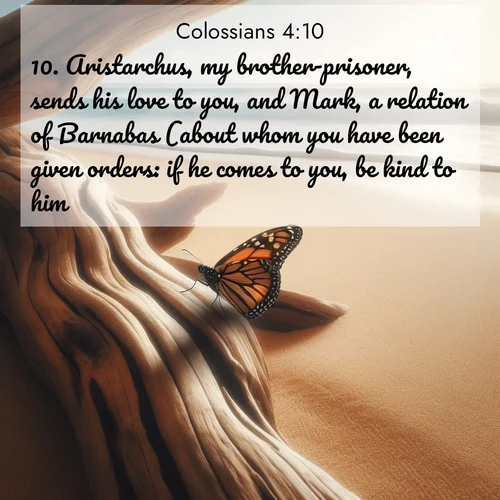BBE Colossians 4:10 overlaying nature image scene: A single monarch butterfly alights on a sun-bleached driftwood log. Waves crash endlessly on the empty beach beyond.;10. Aristarchus, my brother-prisoner, sends his love to you, and Mark, a relation of Barnabas (about whom you have been given orders: if he comes to you, be kind to him),
