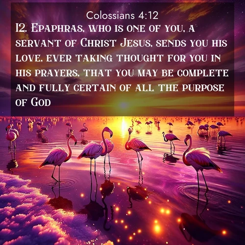 BBE Colossians 4:12 overlaying nature image scene: Wild flamingos wade through salt lake shallows. Sunset turns the water to liquid gold.;12. Epaphras, who is one of you, a servant of Christ Jesus, sends you his love, ever taking thought for you in his prayers, that you may be complete and fully certain of all the purpose of God.
