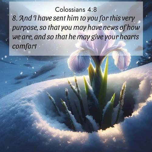 BBE Colossians 4:8 overlaying nature image scene: Wild iris breaks through spring snow. Alpine light ignites petals.;8. And I have sent him to you for this very purpose, so that you may have news of how we are, and so that he may give your hearts comfort;