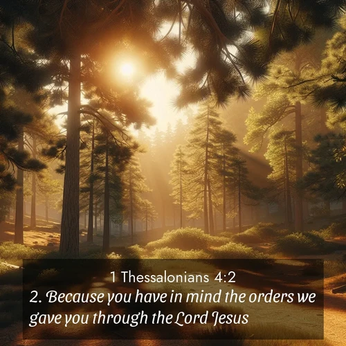 BBE 1 Thessalonians 4:2 overlaying nature image scene: Summer heat brings out the scent of pine needles.;2. Because you have in mind the orders we gave you through the Lord Jesus.