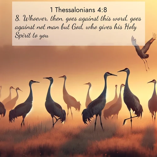 BBE 1 Thessalonians 4:8 overlaying nature image scene: Sandhill cranes dance in morning mist. Their calls echo across the marsh.;8. Whoever, then, goes against this word, goes against not man but God, who gives his Holy Spirit to you.